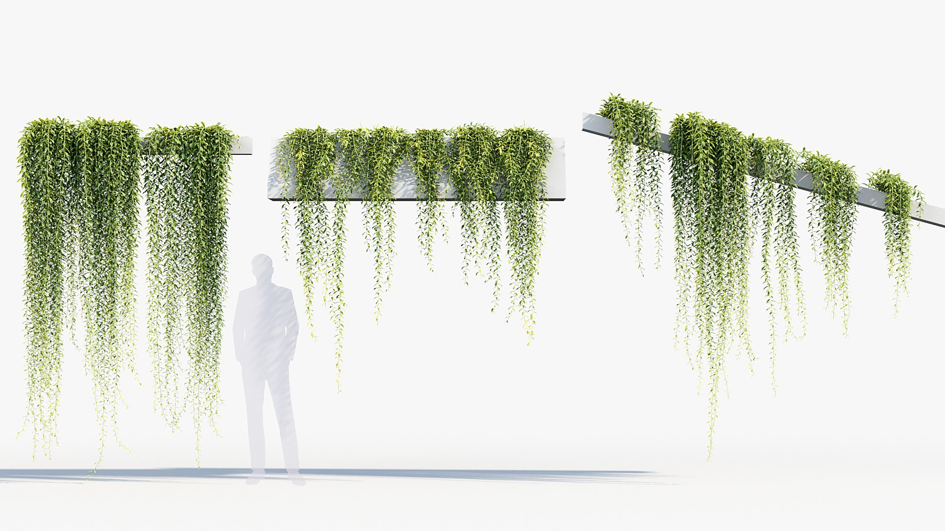 Tarlmounia elliptica Indian laurel 3D Model 3D model https://p.turbosquid.com/ts-thumb/ek/c6CUxM/J8/bc_pm_p07_tarlmounia_elliptica_03/jpg/1680781299/1920x1080/fit_q87/0d685117e6a6d8557f5da24342435201ff83078a/bc_pm_p07_tarlmounia_elliptica_03.jpg
