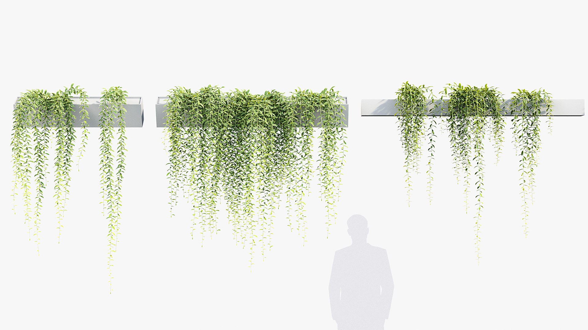 Tarlmounia elliptica Indian laurel 3D Model 3D model https://p.turbosquid.com/ts-thumb/ek/c6CUxM/QD/bc_pm_p07_tarlmounia_elliptica_02/jpg/1680781312/1920x1080/fit_q87/2bdeab5fd802e9cc78ed312ae9fd8faefff92235/bc_pm_p07_tarlmounia_elliptica_02.jpg
