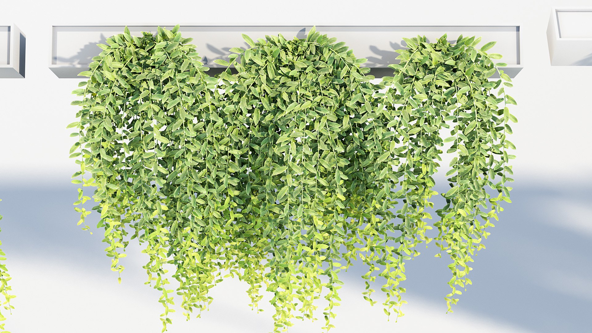 Tarlmounia elliptica Indian laurel 3D Model 3D model https://p.turbosquid.com/ts-thumb/ek/c6CUxM/hI/bc_pm_p07_tarlmounia_elliptica_07/jpg/1680781322/1920x1080/fit_q87/a2ea12e68da8525a7d70702b757d8e75f90dc14d/bc_pm_p07_tarlmounia_elliptica_07.jpg