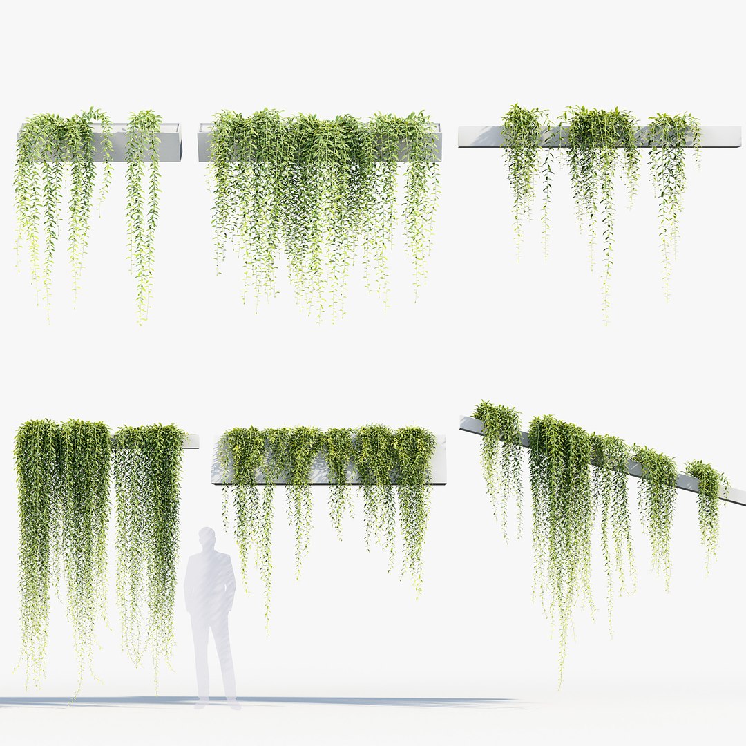 Tarlmounia elliptica Indian laurel 3D Model 3D model https://p.turbosquid.com/ts-thumb/ek/c6CUxM/iU/bc_pm_p07_tarlmounia_elliptica_prv/jpg/1680781326/1920x1080/fit_q87/ebd7e97298400c0b3c2245add00148aad4aa8ec1/bc_pm_p07_tarlmounia_elliptica_prv.jpg