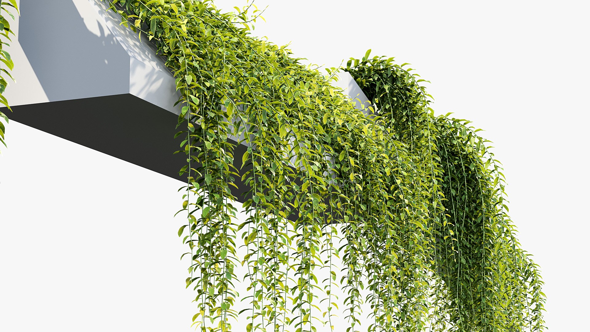 Tarlmounia elliptica Indian laurel 3D Model 3D model https://p.turbosquid.com/ts-thumb/ek/c6CUxM/w5/bc_pm_p07_tarlmounia_elliptica_05/jpg/1680781318/1920x1080/fit_q87/b001edf80bbd48b17a24964ddbad1424bff4f488/bc_pm_p07_tarlmounia_elliptica_05.jpg