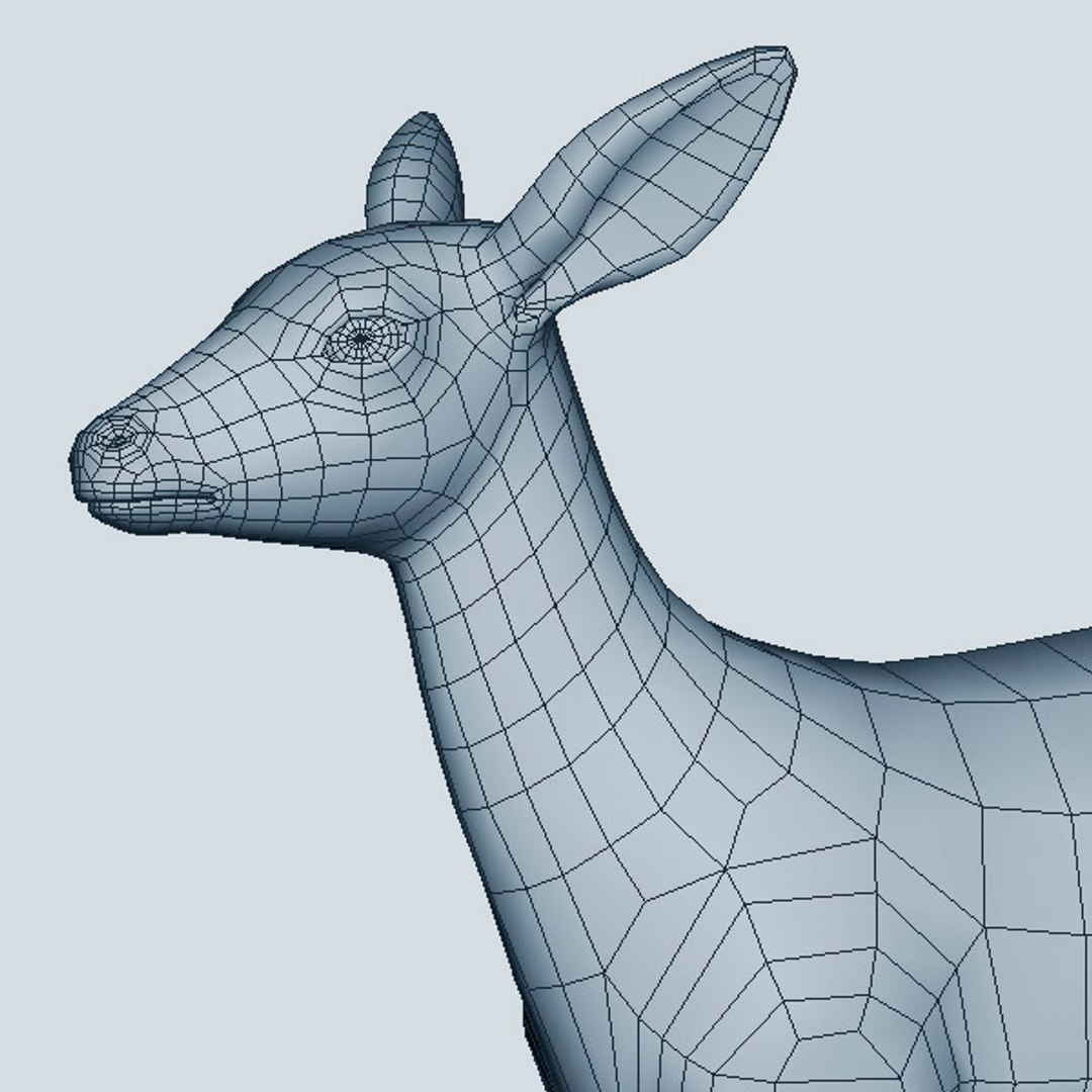 Doe 3d Ma