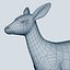Doe