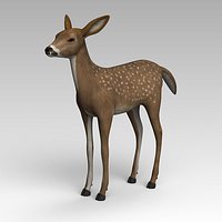 Doe