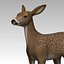 Doe