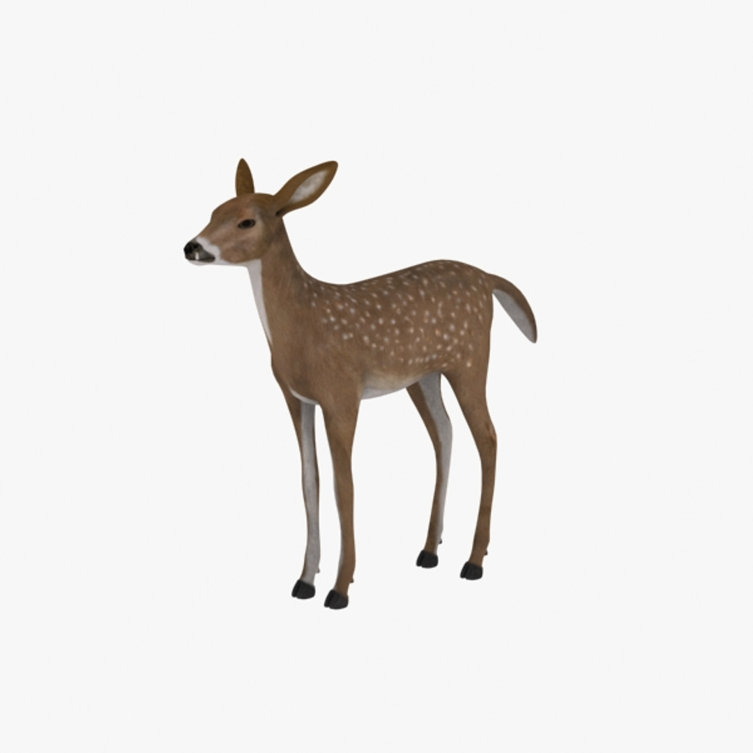 doe 3d ma https://p.turbosquid.com/ts-thumb/ek/osZl5A/vCa1nUKA/doe_max_camera01/jpg/1360574982/1920x1080/turn_fit_q99/bf0b3d67d63bb0a65f5aff475c185b0ece1c7cc3/doe_max_camera01-1.jpg