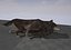 Wolf Rigged Animated i Game Ready