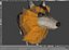 Wolf Rigged Animated i Game Ready