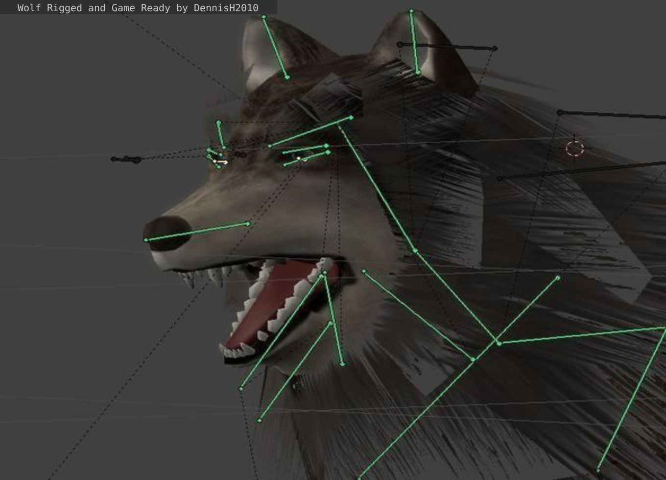 3d ready wolf animations model