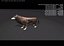 Wolf Rigged Animated i Game Ready