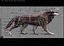 Wolf Rigged Animated i Game Ready
