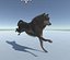 Wolf Rigged Animated i Game Ready