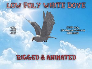 3d white dove rigged animation