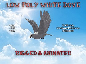 Low Poly Dove 3D Model Rigged Animated