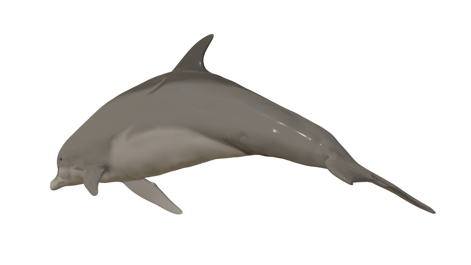 3D dolphin rigged animal bottlenose https://p.turbosquid.com/ts-thumb/ek/svUwnQ/5KCNeVjU/03/png/1604075469/1920x1080/fit_q87/6f1effd93897b30f92abd4e6efb06023fbe670f3/03.jpg