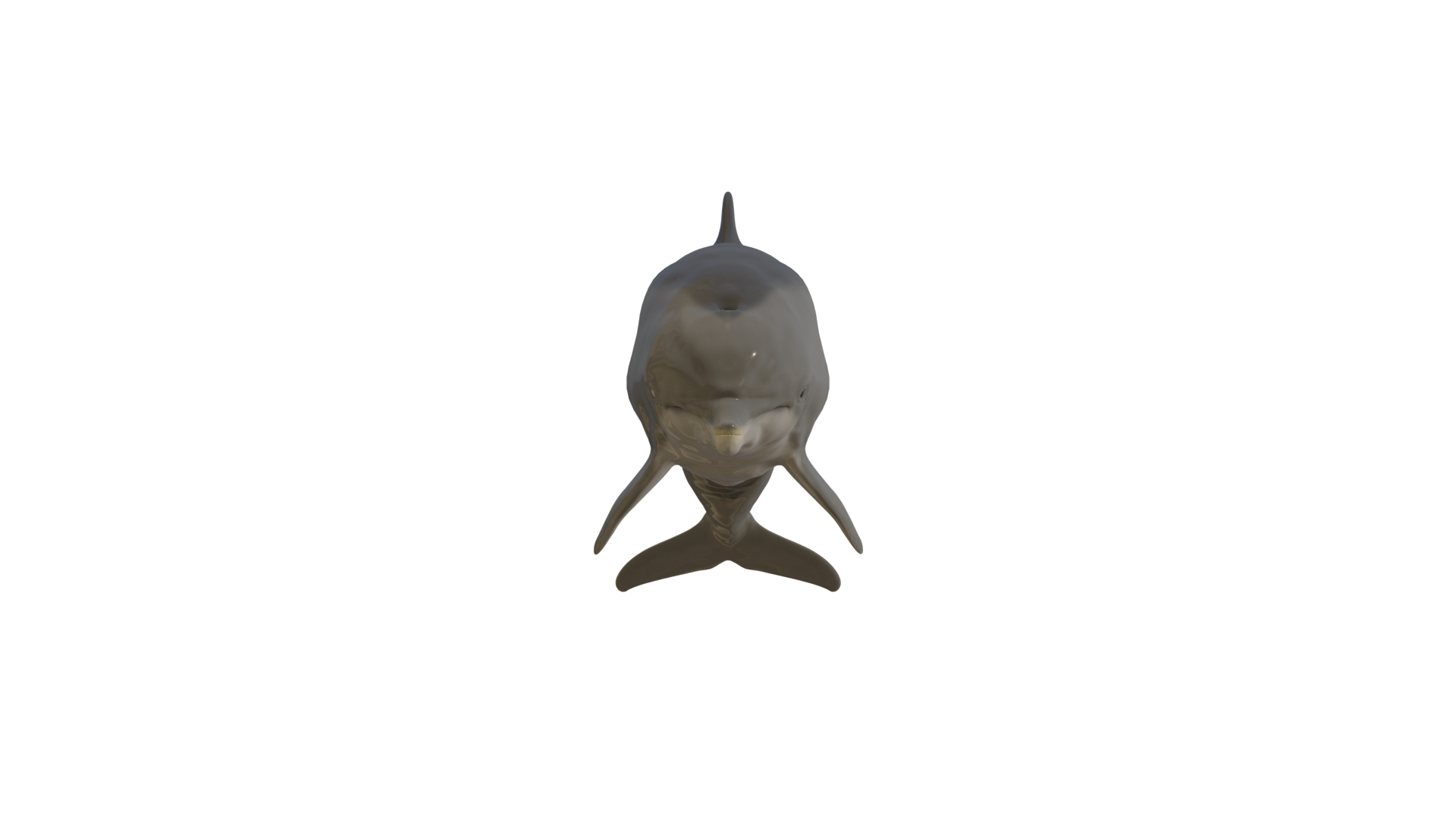 3D Dolphin Rigged Animal Bottlenose - TurboSquid 1544307