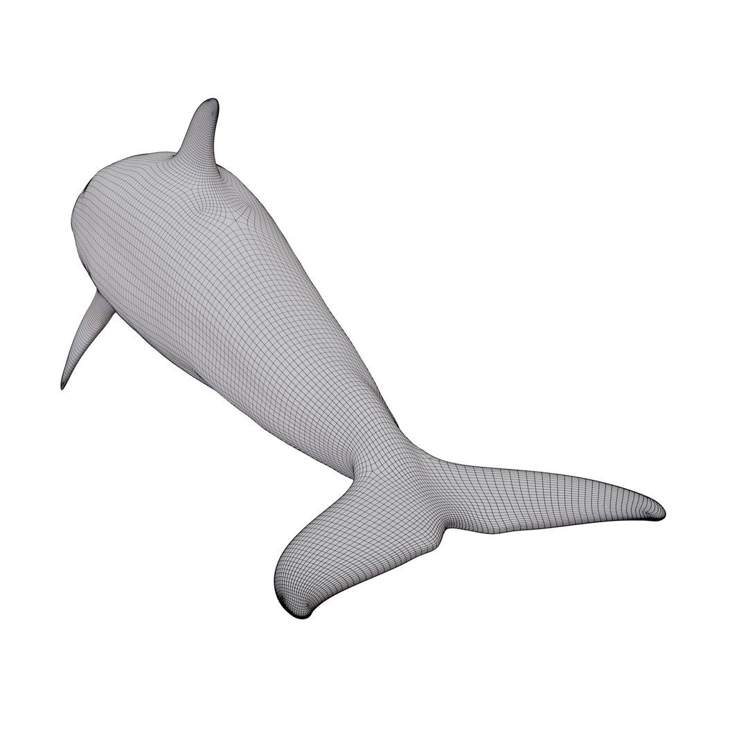 3D dolphin rigged animal bottlenose https://p.turbosquid.com/ts-thumb/ek/svUwnQ/DHpXwzpY/wf04/png/1587287580/1920x1080/fit_q87/6681a5eac04c713bad5c87022c87d588102ebfca/wf04.jpg