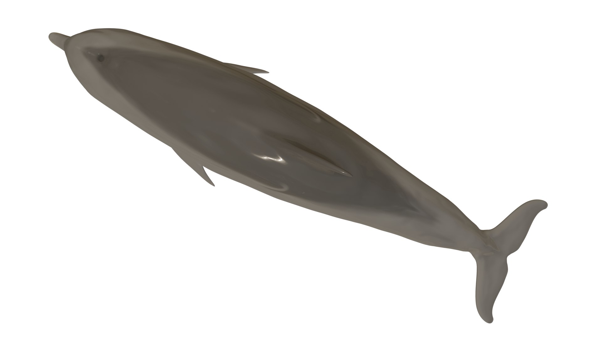 3D dolphin rigged animal bottlenose https://p.turbosquid.com/ts-thumb/ek/svUwnQ/zyIA0Mbd/04/png/1604075961/1920x1080/fit_q87/e68915ec959f9539e0ebd98282410e9273c37468/04.jpg