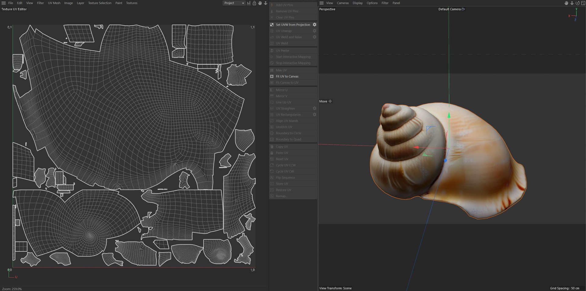 Conch Shell V6 3D - TurboSquid 2370734