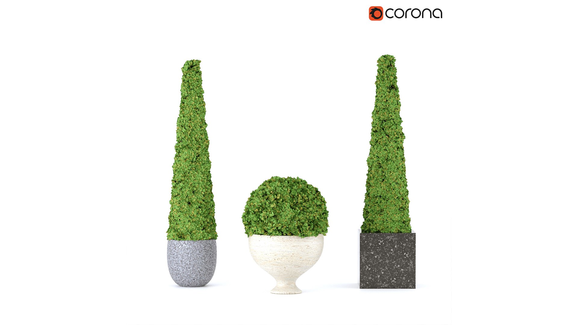 Boxwood set 01 3D model https://p.turbosquid.com/ts-thumb/ek/w0zFoN/CB/1/jpg/1649313940/1920x1080/fit_q87/50e74e199ff59433b9712b2b844a31776e274364/1.jpg