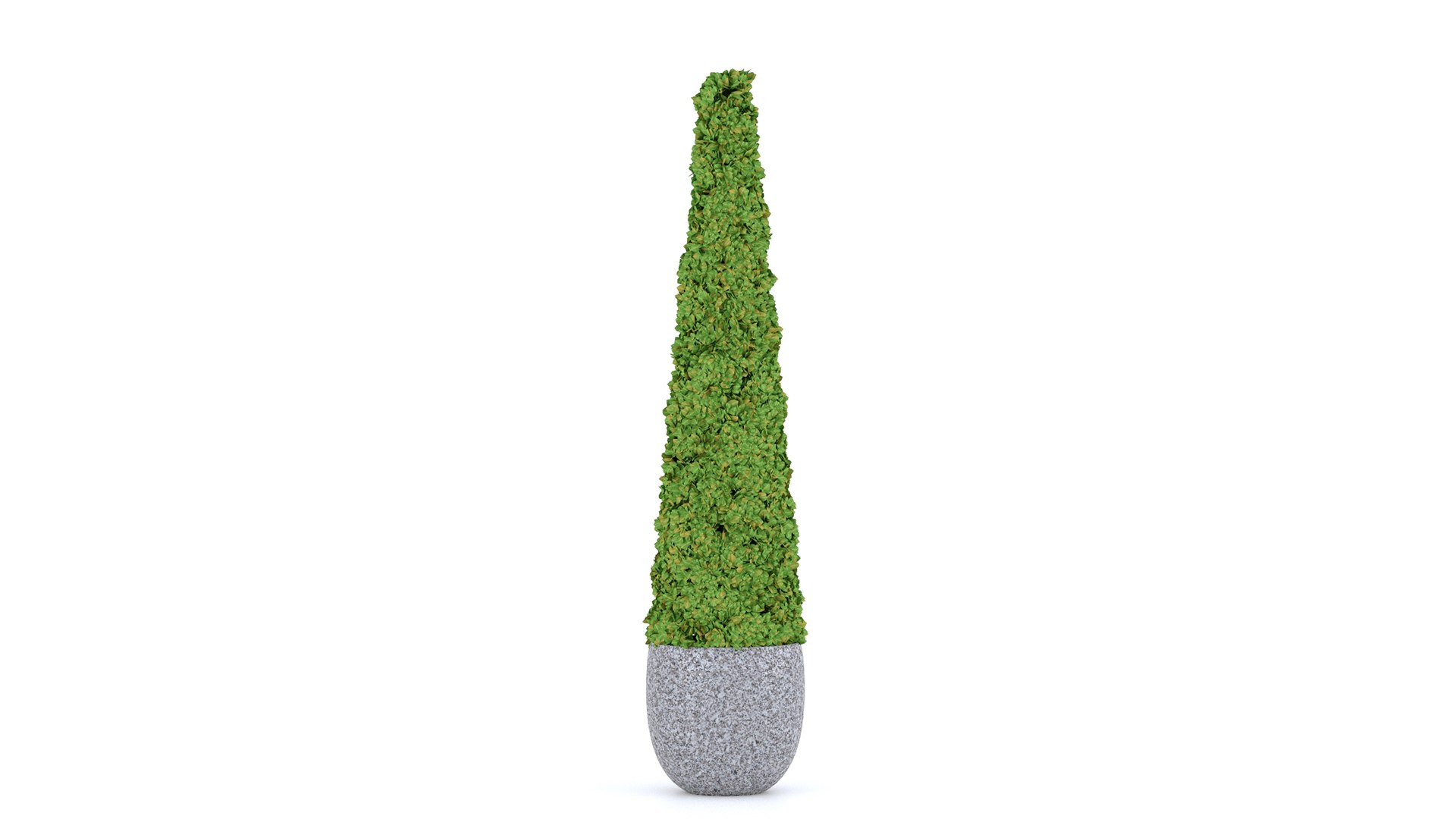 Boxwood set 01 3D model https://p.turbosquid.com/ts-thumb/ek/w0zFoN/kT/4/jpg/1649313959/1920x1080/fit_q87/6df954023cab5514440d7fd7ab6087340d15454b/4.jpg