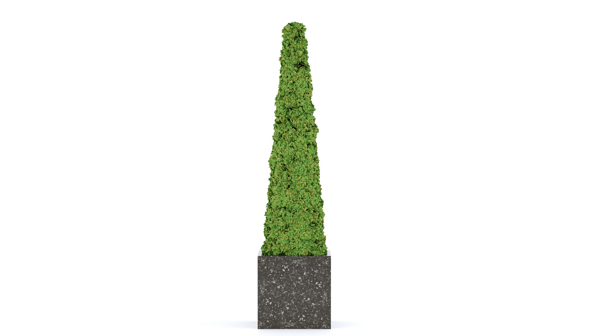 Boxwood set 01 3D model https://p.turbosquid.com/ts-thumb/ek/w0zFoN/lc/5/jpg/1649313955/1920x1080/fit_q87/25099ffc53ce8141d2b1205e0e4e5ca96b4e74f7/5.jpg