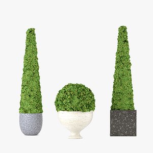 Boxwood set 01 3D model