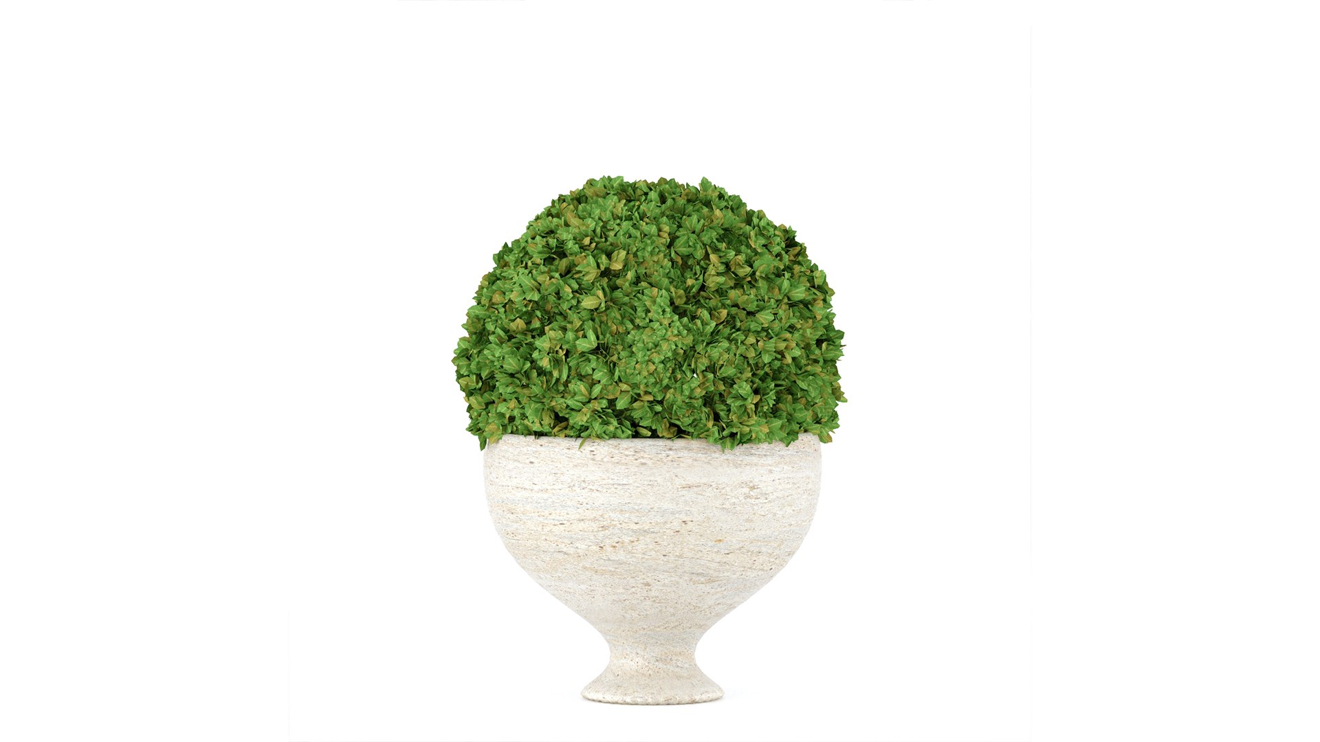 Boxwood set 01 3D model https://p.turbosquid.com/ts-thumb/ek/w0zFoN/zA/3/jpg/1649313936/1920x1080/fit_q87/792a5c1a2e6b429ca28ae3ab562da09c9364c9c0/3.jpg