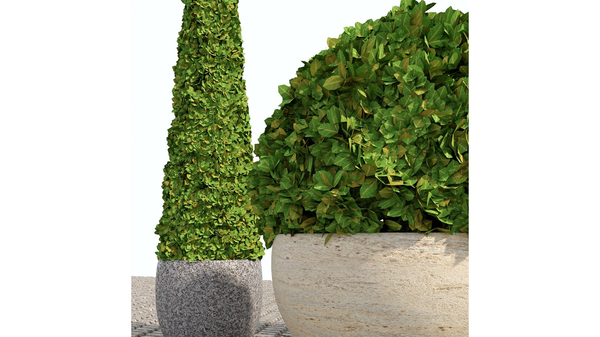 Boxwood set 01 3D model https://p.turbosquid.com/ts-thumb/ek/w0zFoN/zO/2/jpg/1649313956/1920x1080/fit_q87/f7c698d0bd17569b5d7a2b0e67b2d78e50e6d257/2.jpg