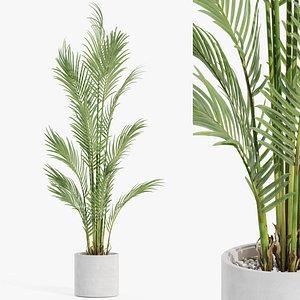 Plants collection 991