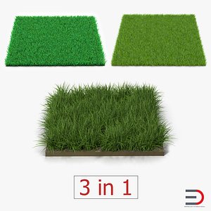 3d grass fields 2 model