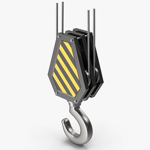 Crane Hook