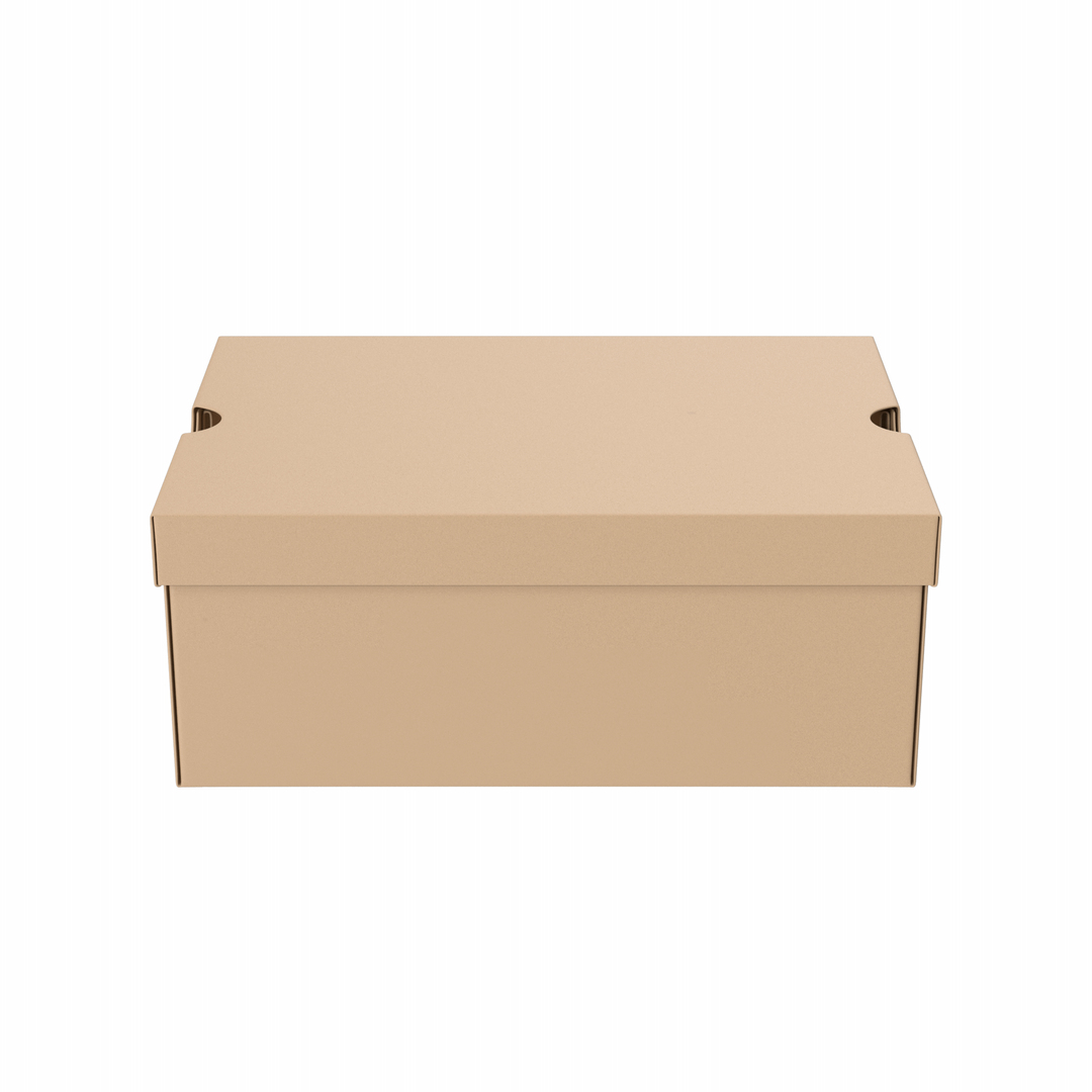 3D Brown Shoe Box https://p.turbosquid.com/ts-thumb/el/Aifo8h/9N/p/png/1703324379/1920x1080/turn_fit_q99/625a50e8344b56b6c12c7defe5531eeb25cbb09f/p-1.jpg