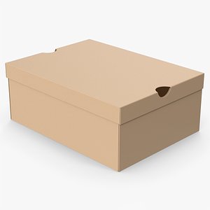3D Brown Shoe Box