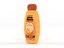 Garnier Whole Blends Honey Treasures Shampoo and Conditioner