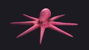 3D Octopus Cartoon