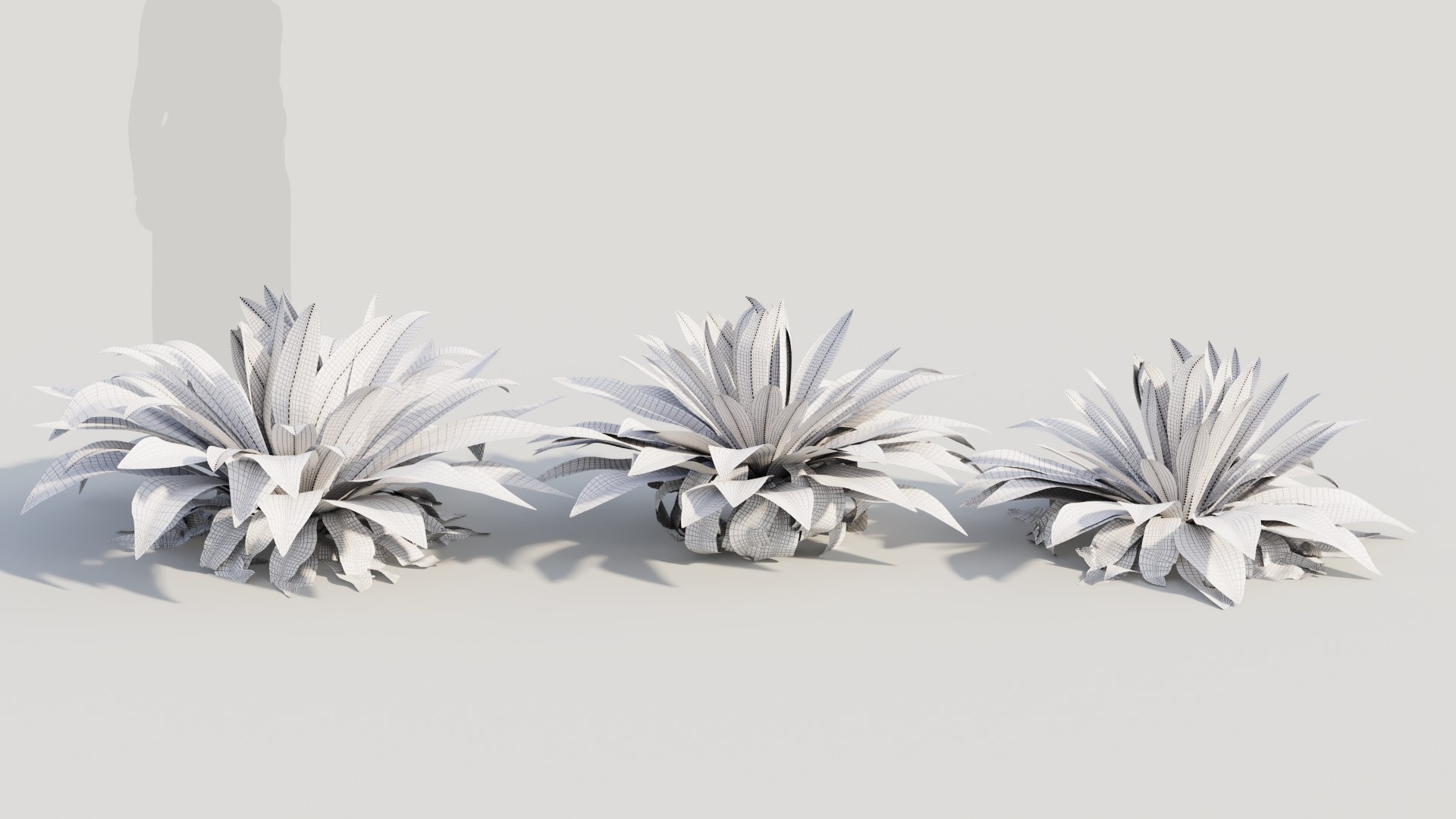 3D model Asplenium nidus c https://p.turbosquid.com/ts-thumb/el/OFPDkr/Dr/aspleniumnidusc2/jpg/1705546313/1920x1080/fit_q87/fcf74c085ff904c806f27a1b19123967101800b6/aspleniumnidusc2.jpg