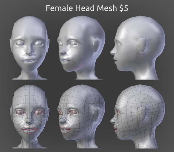 女性の頭部モデル3dモデル Turbosquid