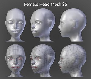 Female Head Model