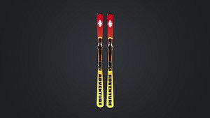 Skis 3D model