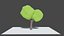 3D model 20 trees