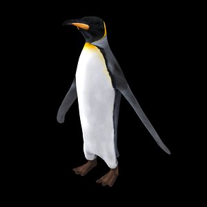 Emperor Penguin