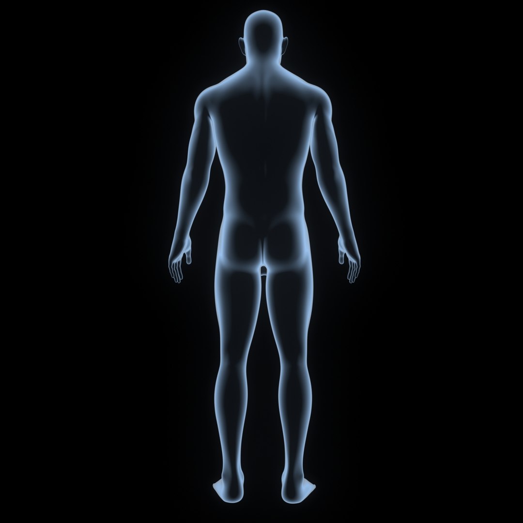 3D body skeleton veins https://p.turbosquid.com/ts-thumb/el/yEvQlZ/AVI916Pa/003_body/jpg/1508934121/1920x1080/fit_q87/7610bc63579f5eb2f9b702cbdfc750aeb7ab79be/003_body.jpg