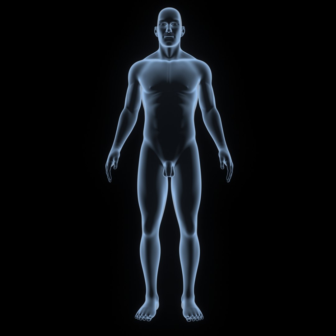 3D body skeleton veins https://p.turbosquid.com/ts-thumb/el/yEvQlZ/FV05xsKF/001_body/jpg/1508934121/1920x1080/fit_q87/f94ea0dfe498bb0ca9db53aaacd3c63b8b53d65f/001_body.jpg