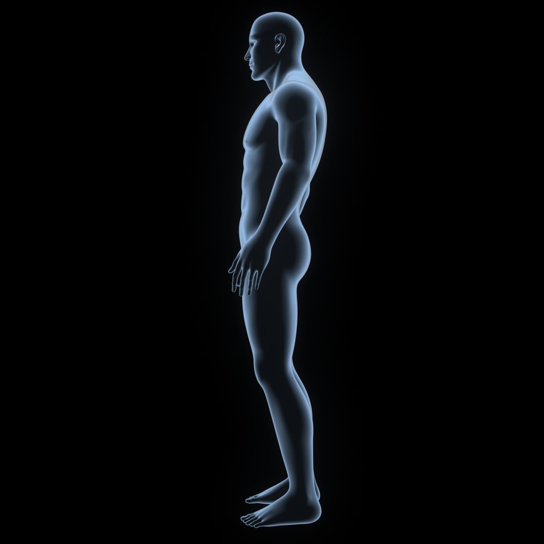 3D body skeleton veins https://p.turbosquid.com/ts-thumb/el/yEvQlZ/fcRdAFQf/002_body/jpg/1508934121/1920x1080/fit_q87/47917eb9a9a1e33ebb6832d80e268538a1b25e5e/002_body.jpg