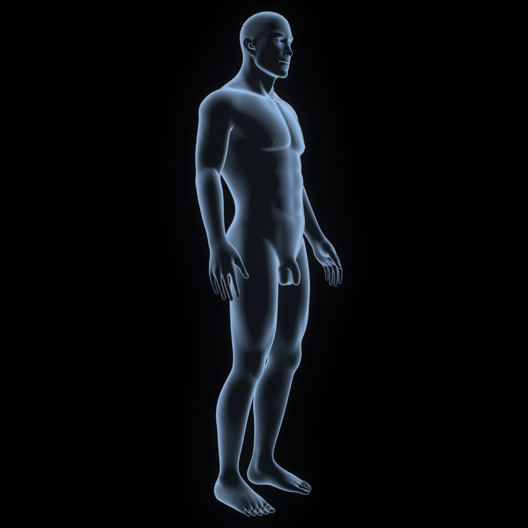 3D body skeleton veins https://p.turbosquid.com/ts-thumb/el/yEvQlZ/iDnyTfyR/004_body/jpg/1508934121/1920x1080/fit_q87/700200dd526a30d731be752e0f1a9442134cd2a5/004_body.jpg