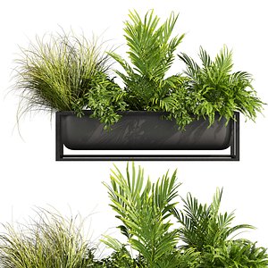 3D model Collection plant vol 703 - palm - fern - bush