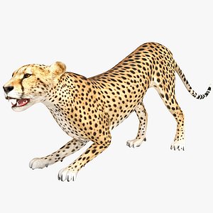 3ds max cheetah pose