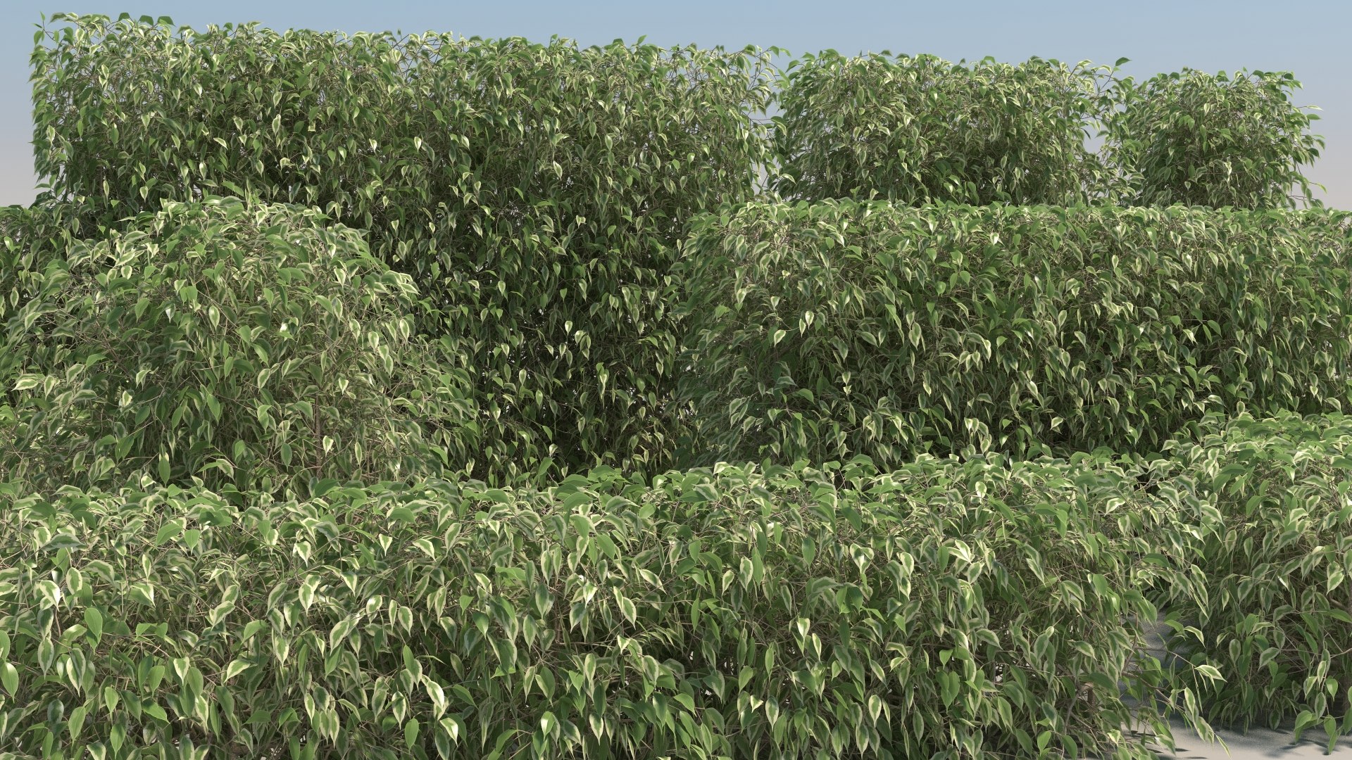 3d max 20 picea glauca tree https://p.turbosquid.com/ts-thumb/em/EUjL1M/S5/17/jpg/1670763217/1920x1080/fit_q87/d676e0f5328384edf858c47f56153d3a53ab6fef/17.jpg