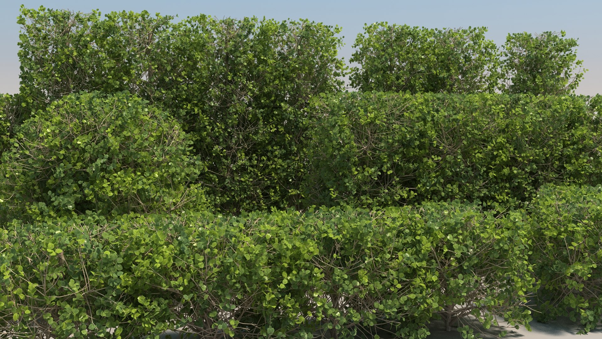 3d max 20 picea glauca tree https://p.turbosquid.com/ts-thumb/em/EUjL1M/hk/13/jpg/1670763176/1920x1080/fit_q87/99259d8f3cf6d505fc6d58682e9e63e3ebf26f79/13.jpg